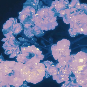 美女18禁免费观看爆奶头网站
